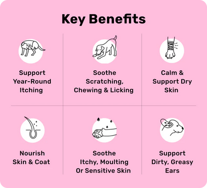 120 Tasty Treats for Itchy, Irritated & Sensitive Skin