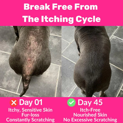 120 Tasty Treats for Itchy, Irritated & Sensitive Skin